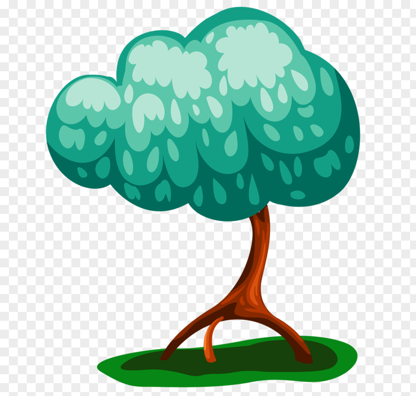 Plant Green Tree PNG
