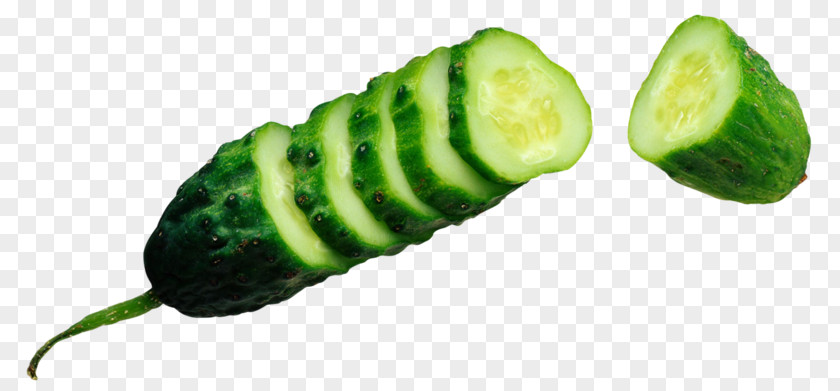 Sliced ​​cucumber Cucumber Vegetable Cultivar Half Sour Pickles Salting PNG