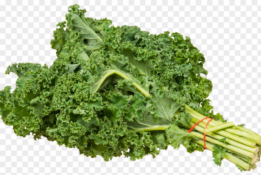 Vegetable Lacinato Kale Clip Art Leaf PNG