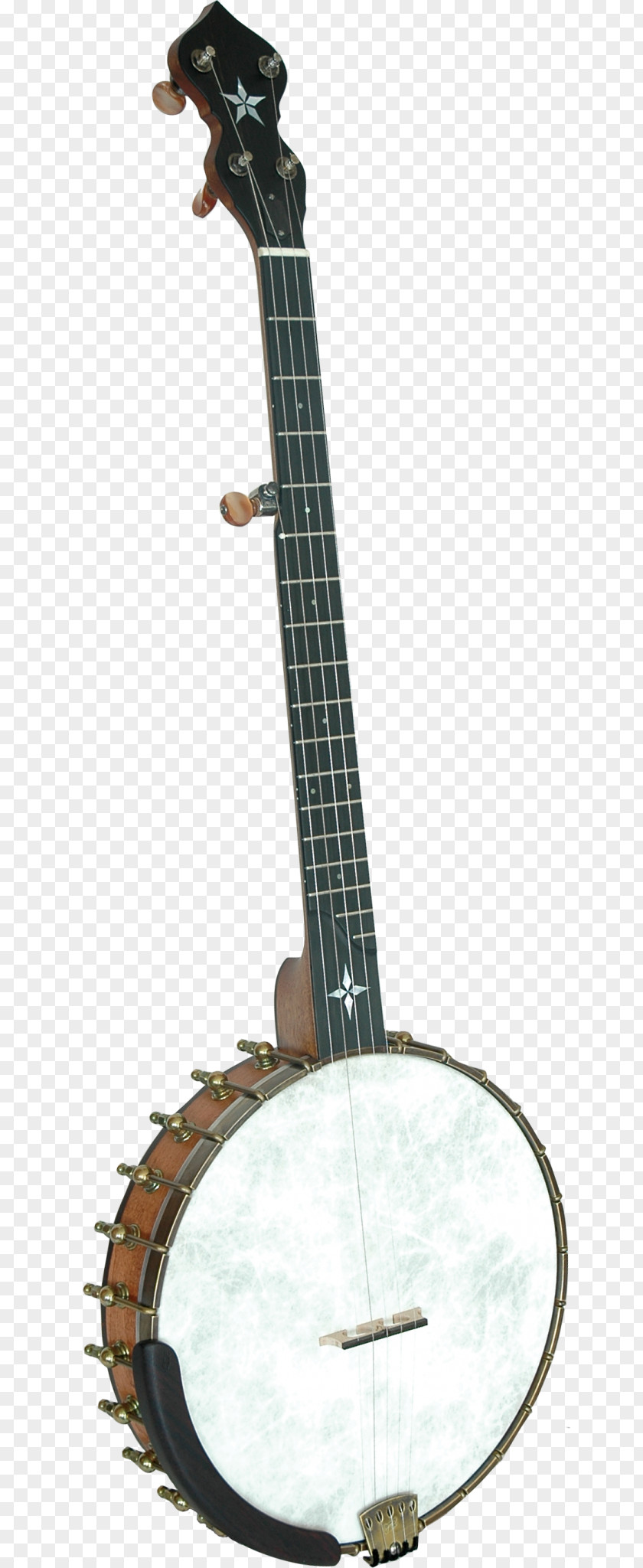 Bass Guitar Banjo Ukulele Uke Cuatro Tiple PNG