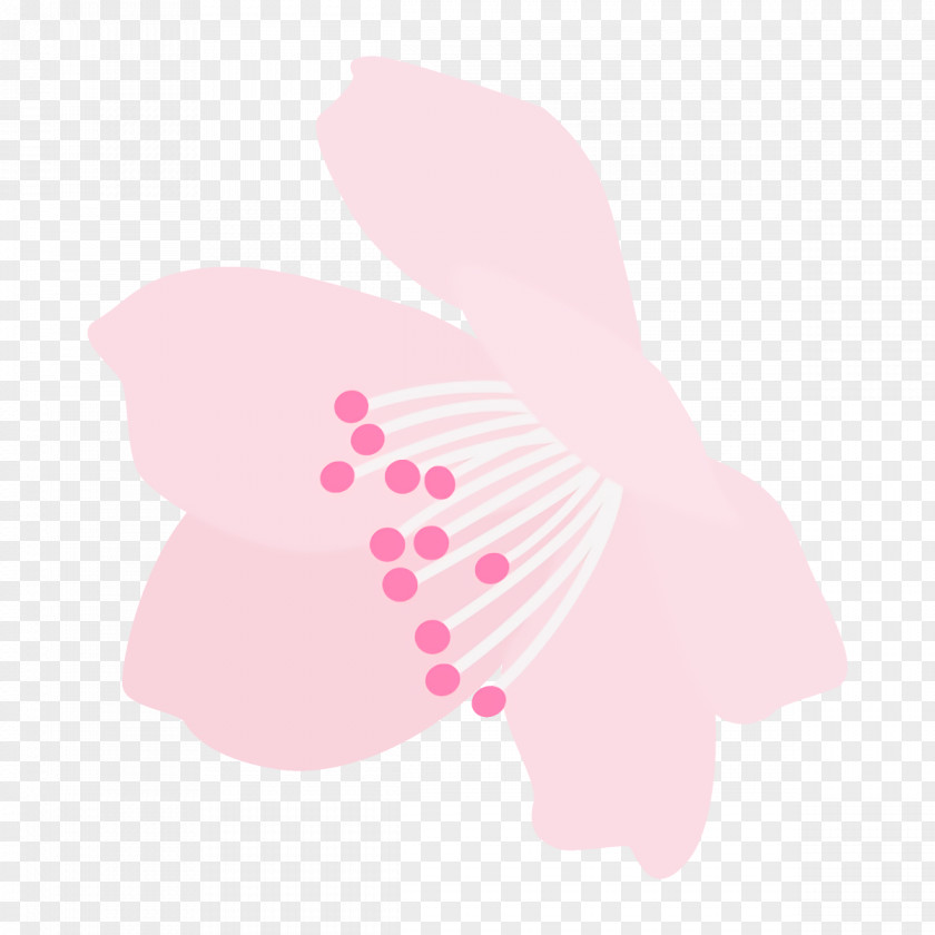 Moths And Butterflies Flower Pink Butterfly Petal Wing Plant PNG