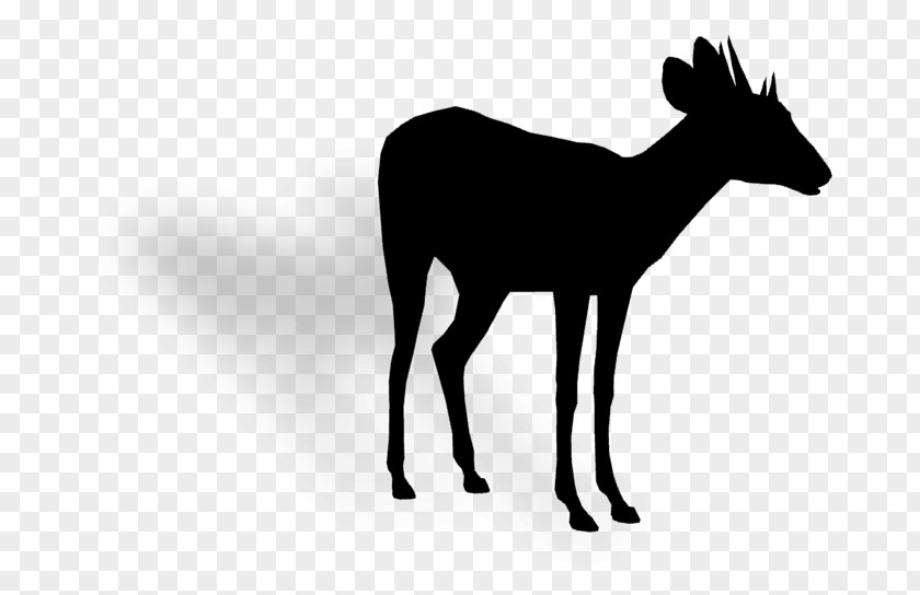 Reindeer Moschus Clip Art Fauna PNG