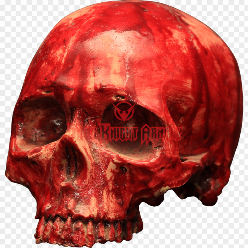 Skull Resin Bone Skeleton Blood PNG