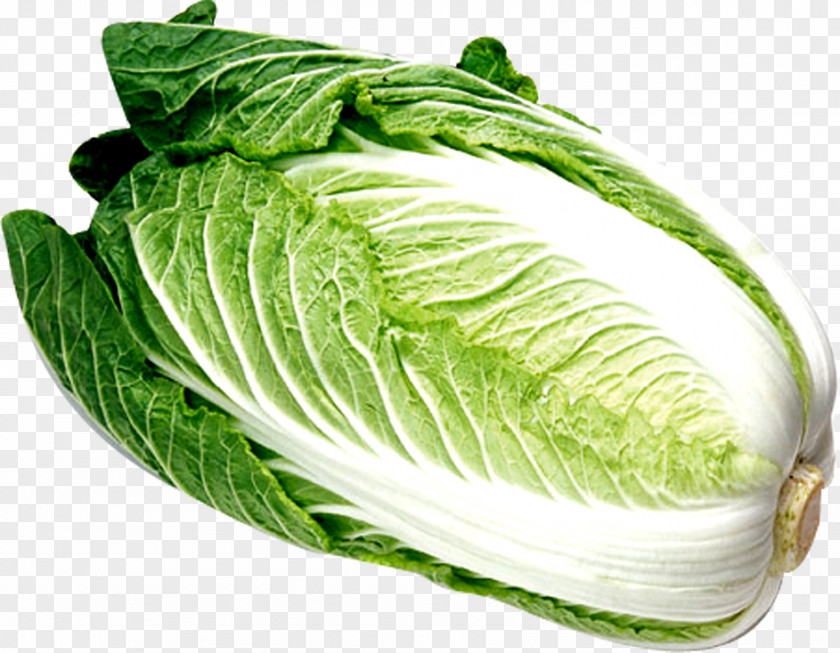 Too Cabbage Chinese Cuisine Vegetable Napa PNG