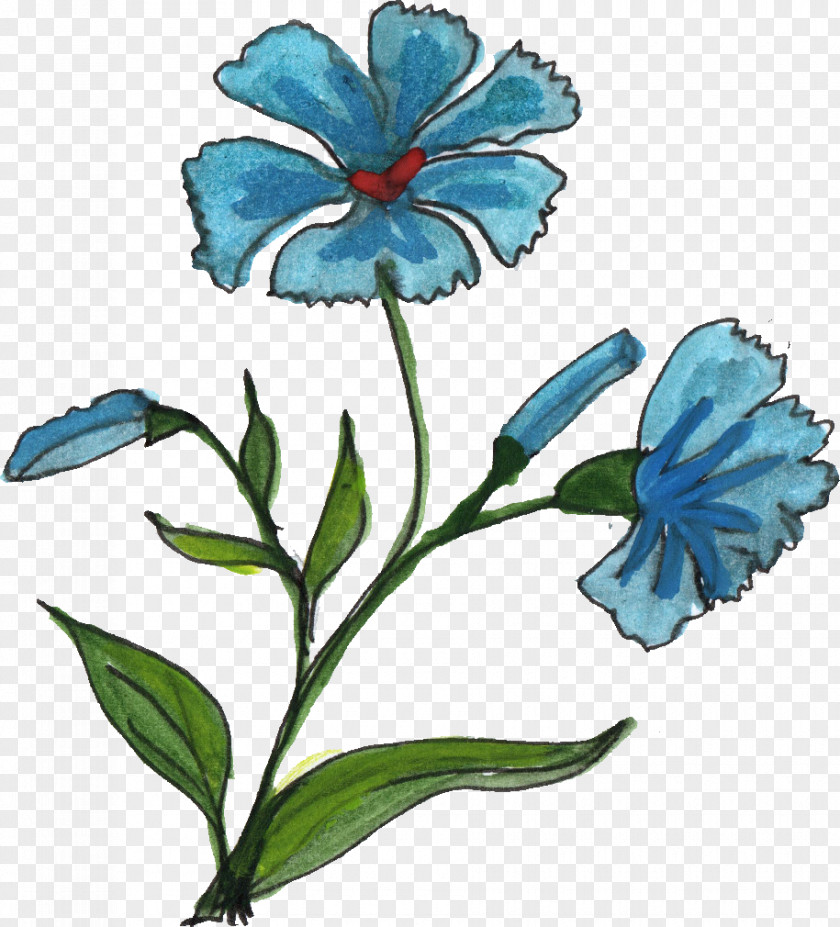 Flower Drawing Ornament PNG