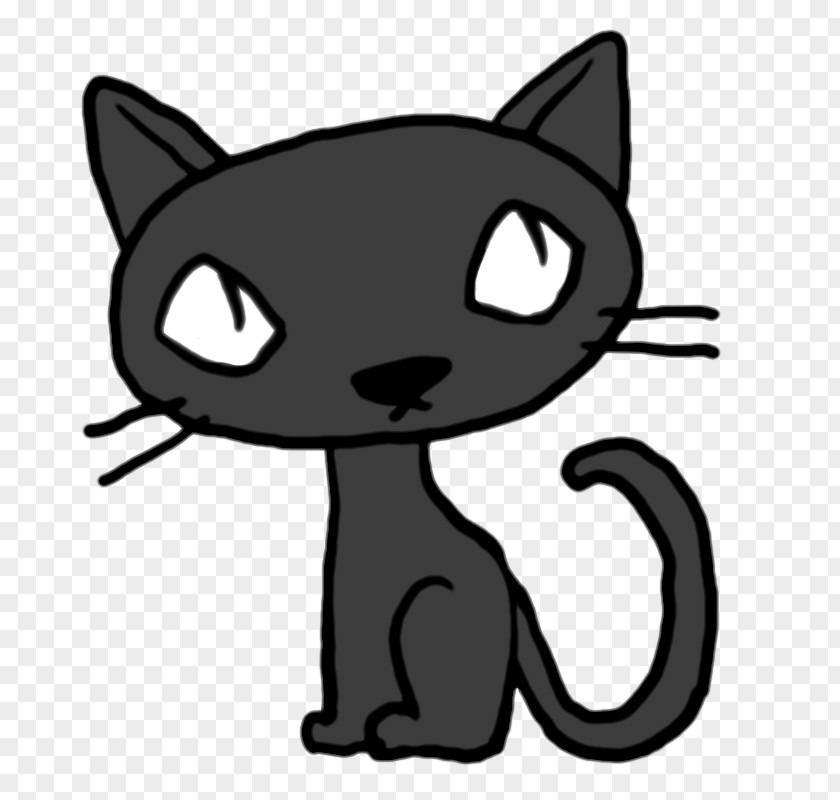 Kitten Whiskers Black Cat Domestic Short-haired Tabby PNG