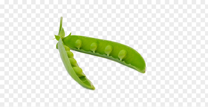 Pea Snow Icon PNG
