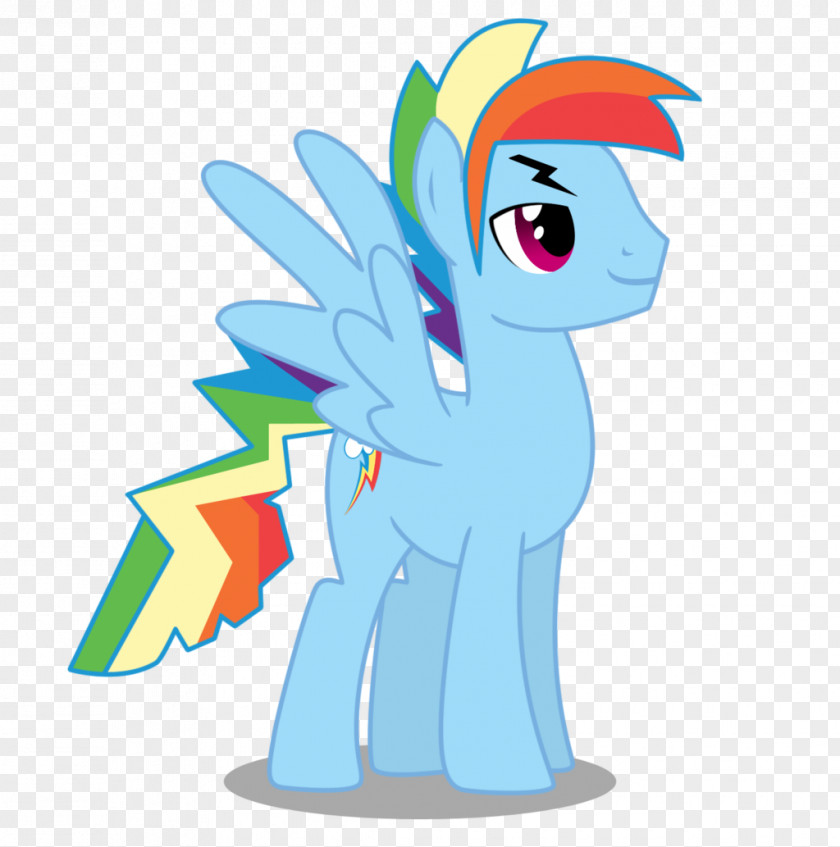 Rainbow Dash Applejack Fluttershy Pinkie Pie Rarity PNG