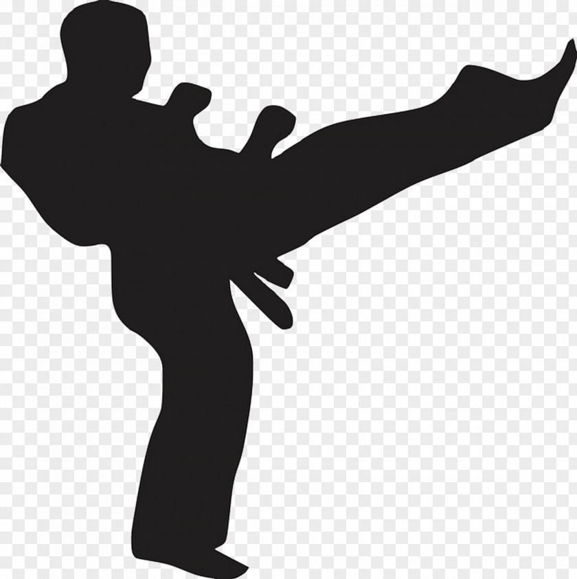 Bullying Chinese Martial Arts Karate Kick Sport PNG