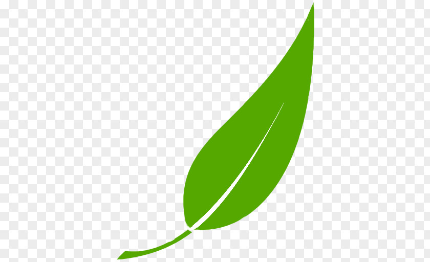 Leaf Green Plant Stem Clip Art PNG
