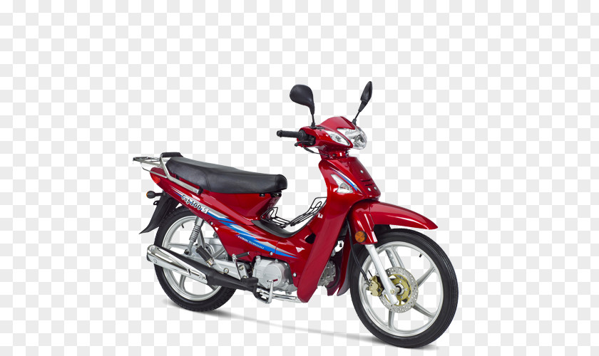 Motorcycle Kanuni Scooter Mondial Driver's License PNG