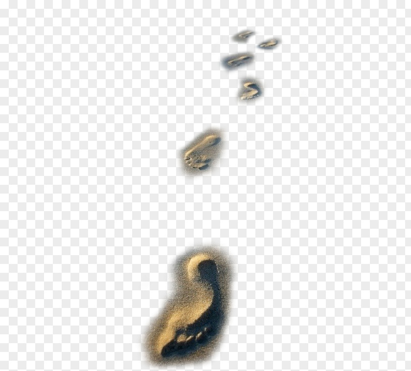 Nice Beach Footprints Sand Footprint Download PNG