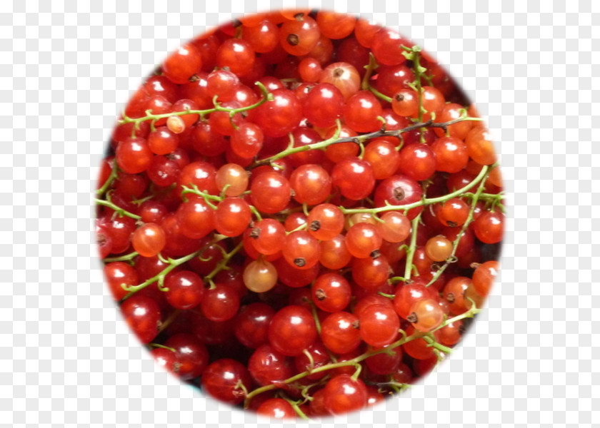 Zante Currant Tart Food Lingonberry PNG