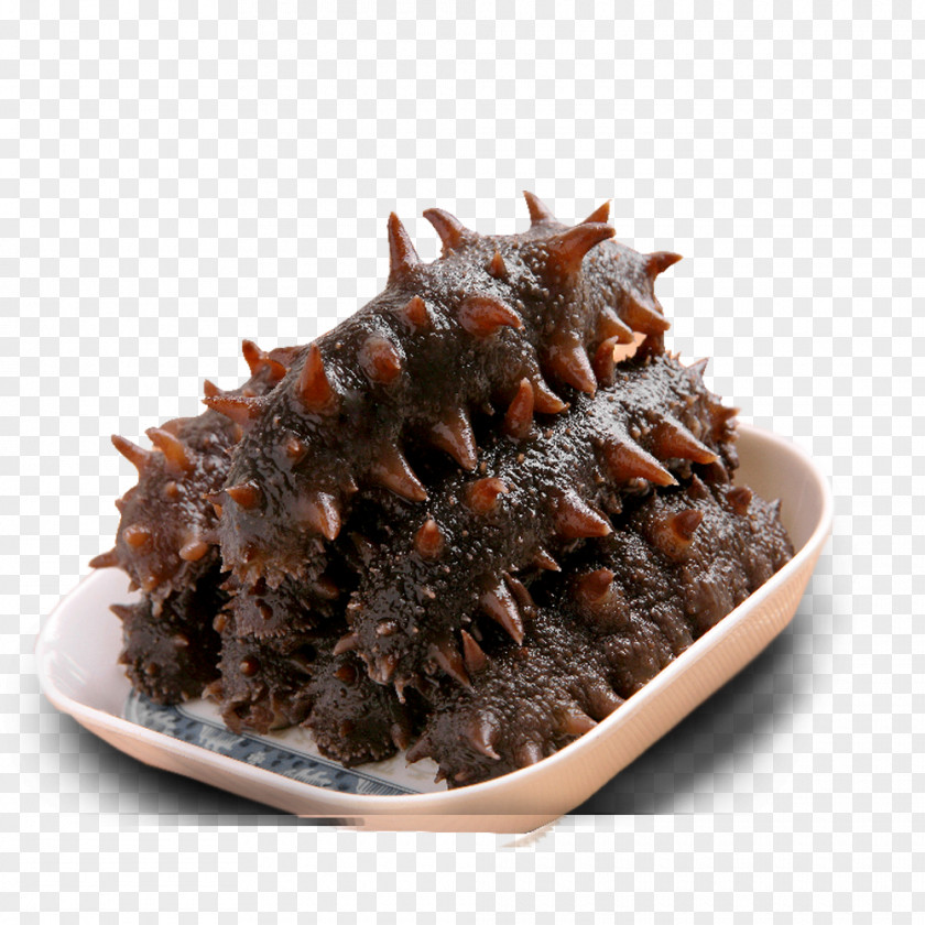 A Sea Cucumber Shandong As Food Seafood PNG