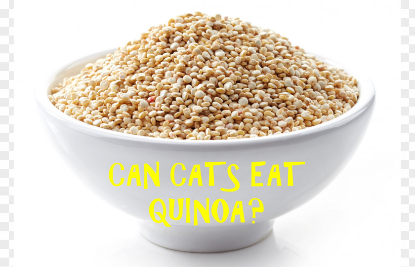 Breakfast Oat Cereal Quinoa Food PNG