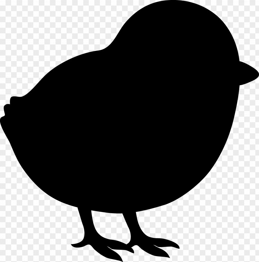 Clip Art Fauna Silhouette Beak Chicken As Food PNG
