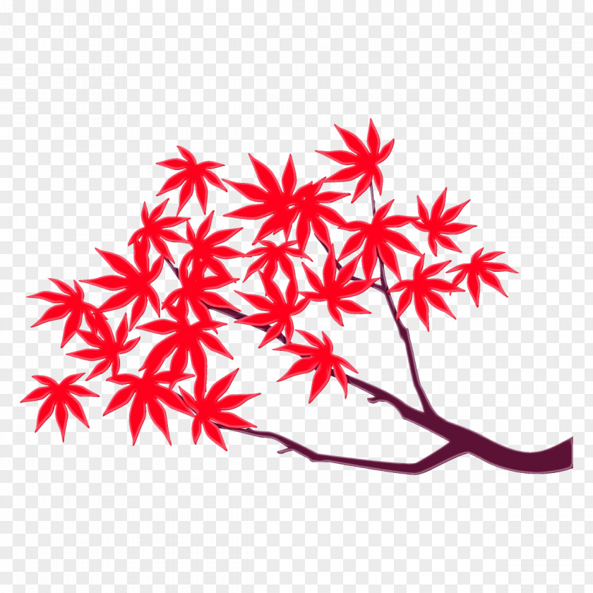 Flower Maple Leaf PNG