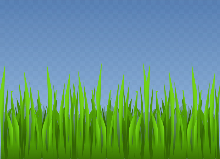 Grass Lawn Grasses Clip Art PNG