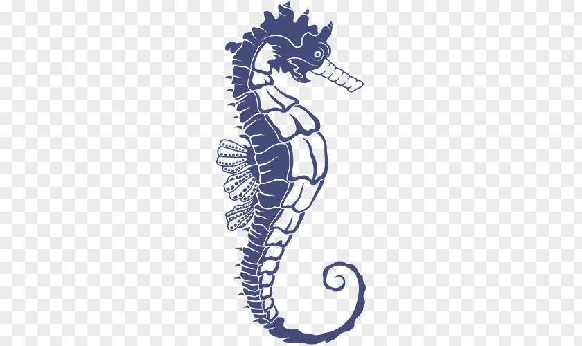 Seahorse Pipefishes And Allies Invertebrate Clip Art PNG