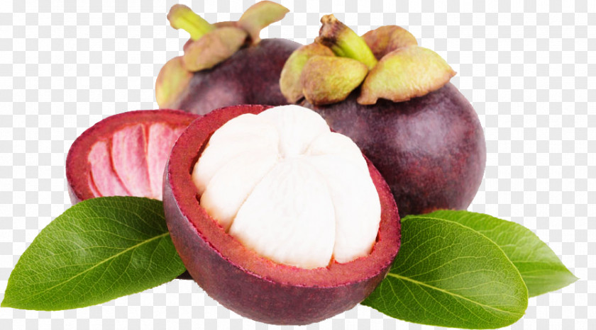 3 Mangosteen PNG mangosteen clipart PNG