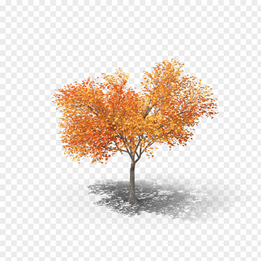 3D Modeling Tree Computer Graphics Autumn Autodesk 3ds Max PNG