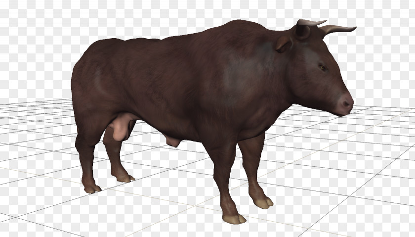 Hairy Men Bull Cattle Ox Bison Horn PNG