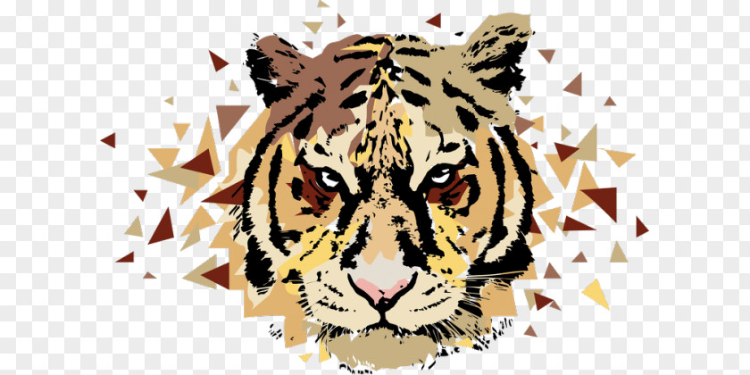 Key Watercolor Tiger Leopard Jaguar Keine Gefahr Phonograph Record PNG