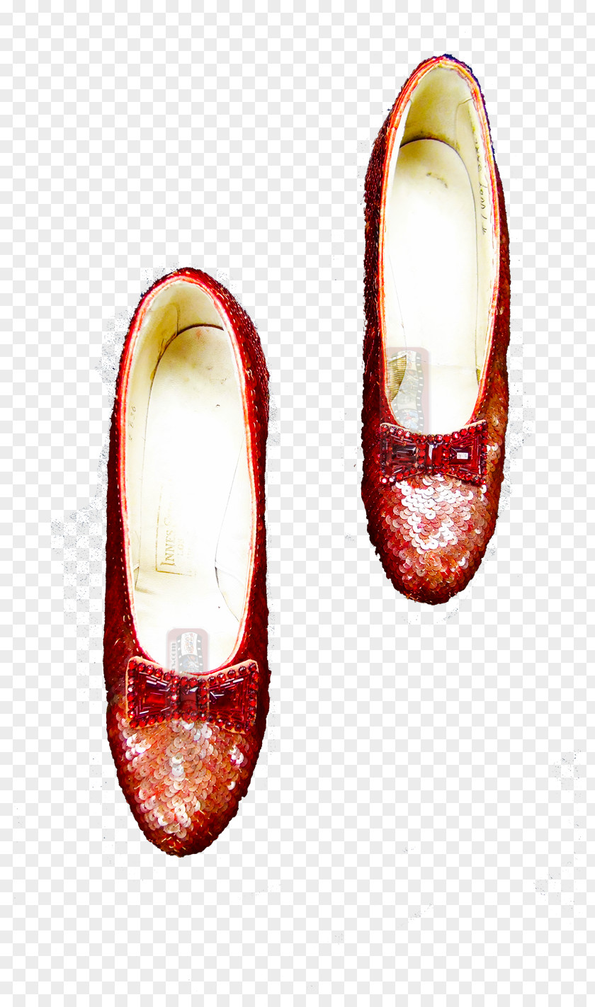 Leonardo Dicaprio Dorothy Gale Ruby Slippers Shoe PNG