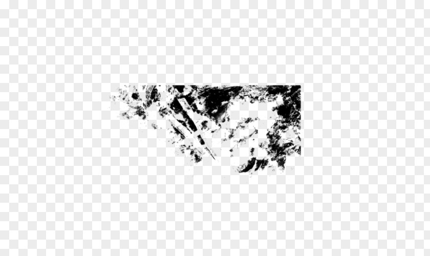 Paint Smudge Monochrome Photography Painting Tree PNG