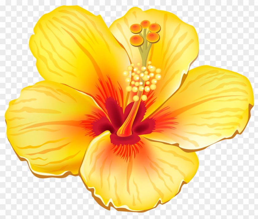 Yellow Exotic Flower Clipart Picture Clip Art PNG