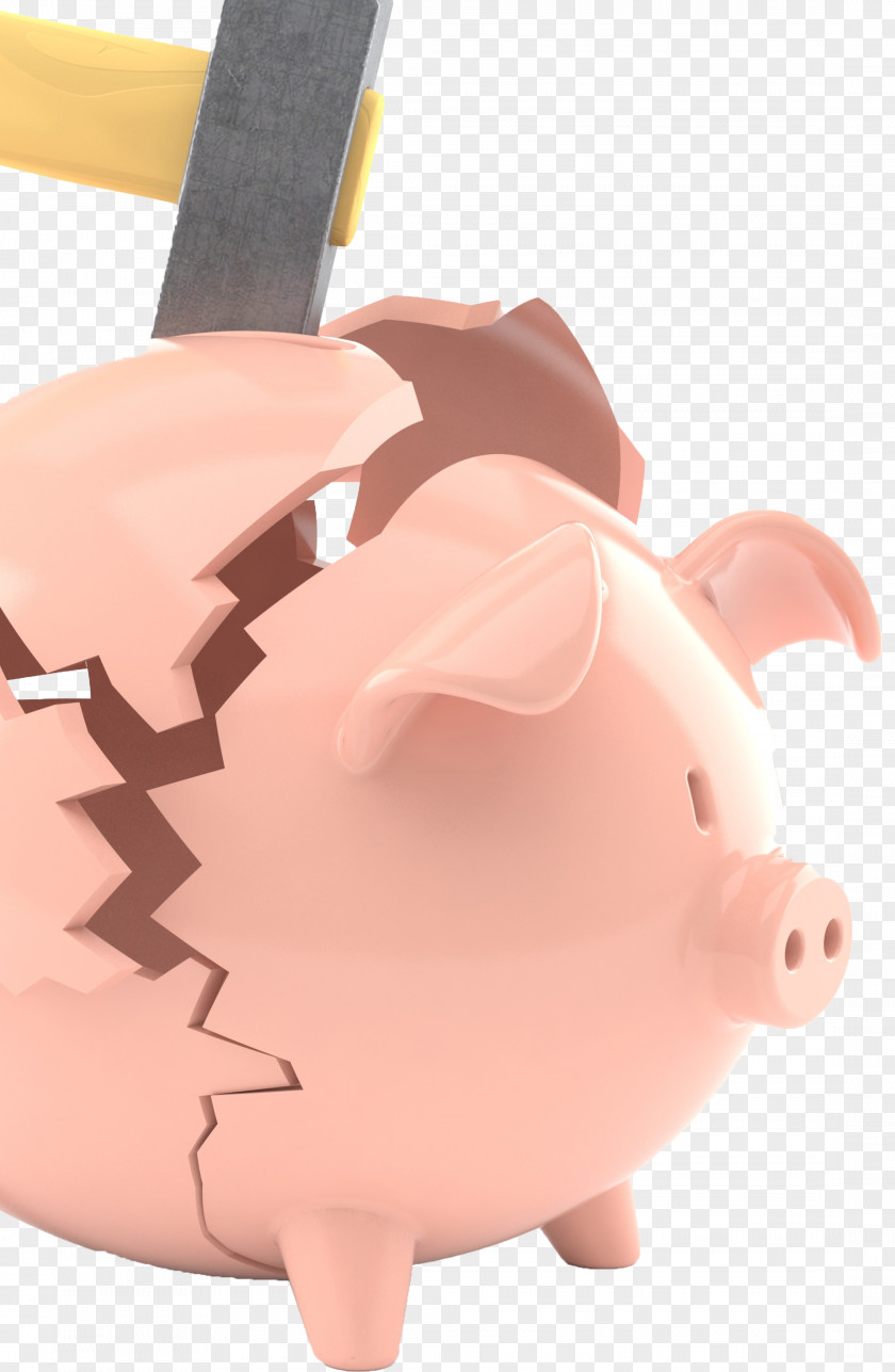 Bank Piggy Money Credit PNG