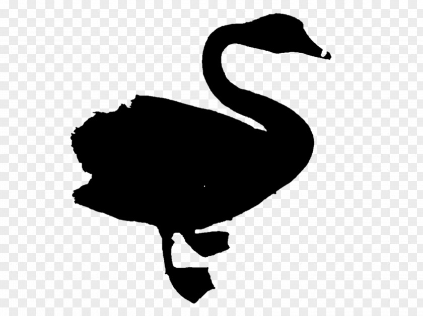 Duck Goose Clip Art Fauna Silhouette PNG