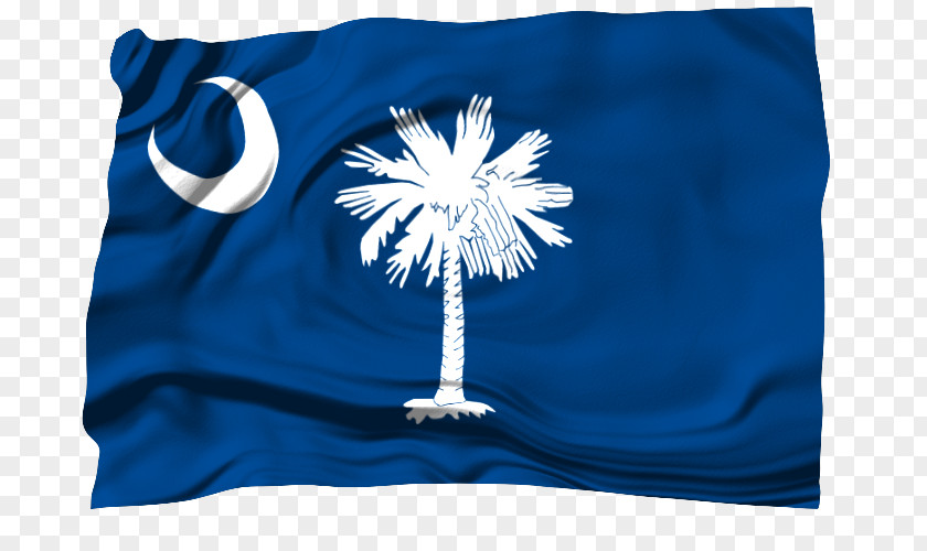 Flag Of South Carolina Senate Army National Guard PNG