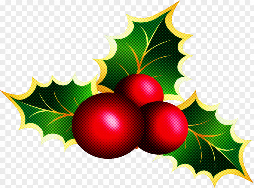 Holly PNG