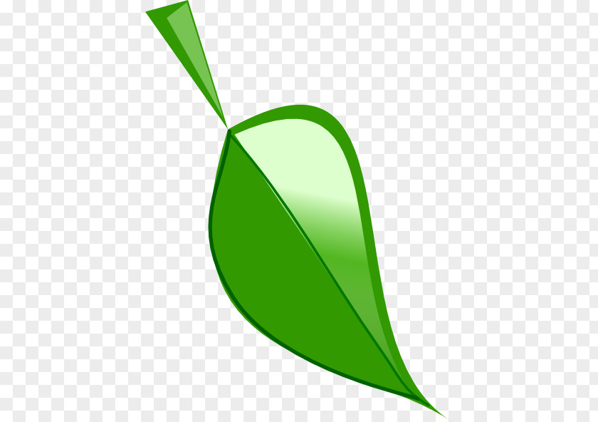 Leaf Drawing Clip Art PNG