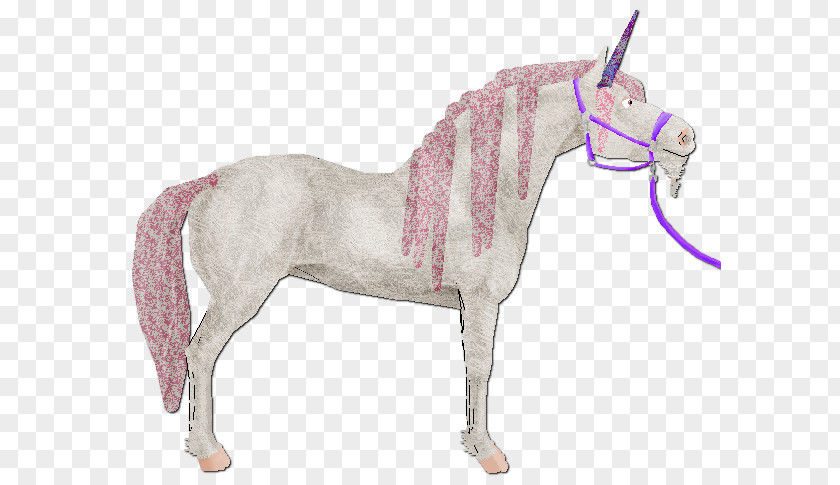 Mustang Mane Pony Foal Stallion PNG