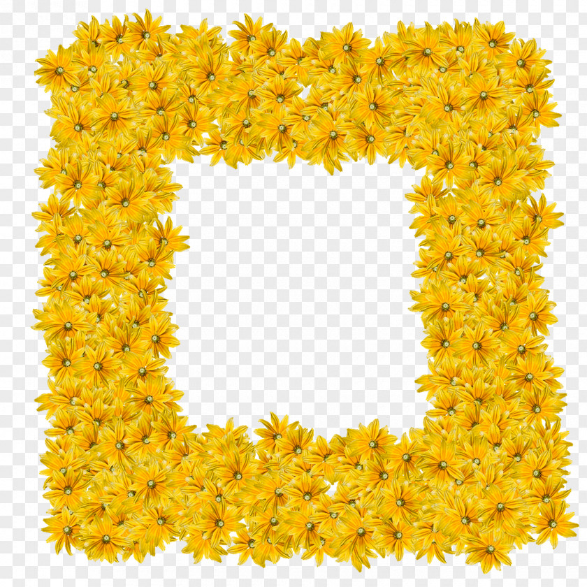 Yellow Flame Picture Frames Flower Drawing Color PNG