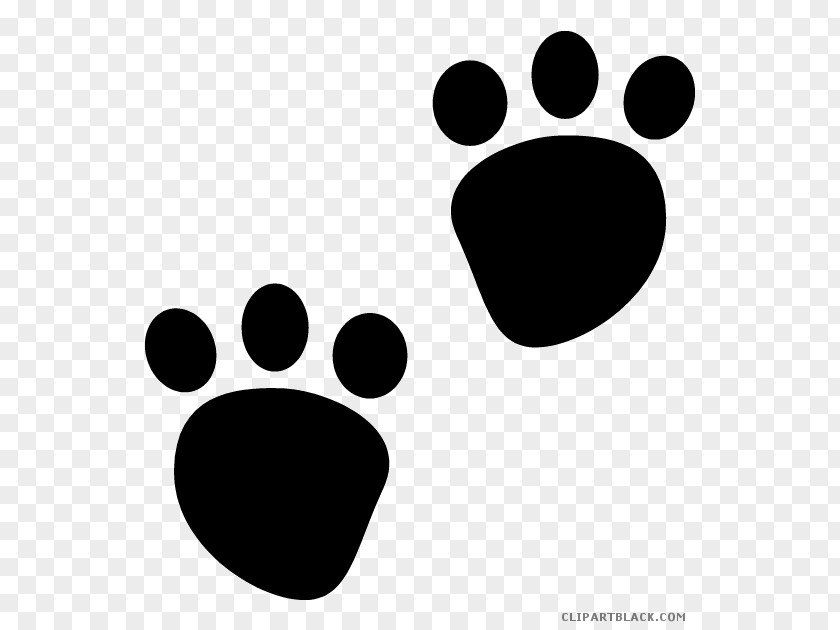 Bear Clip Art Paw Vector Graphics Image PNG