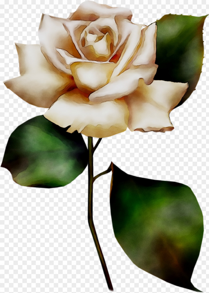 Clip Art Image Flower Painting PNG