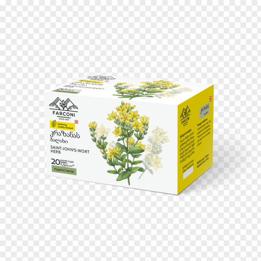St Johns Wort Herb PNG