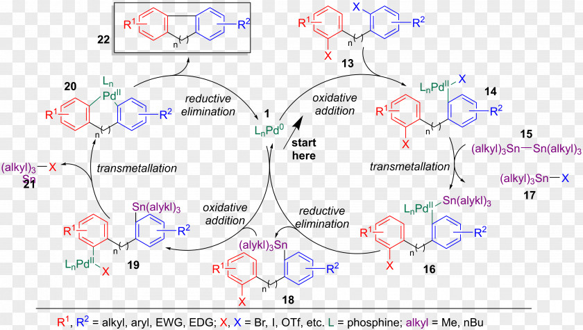 The Stille Reaction Organic Synthesis Wiki Organotin Chemistry PNG