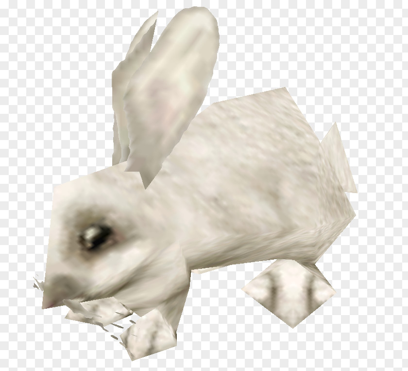 Domestic Rabbit Arctic Hare World Of Warcraft Guild Wars 2 NinjaCast PNG