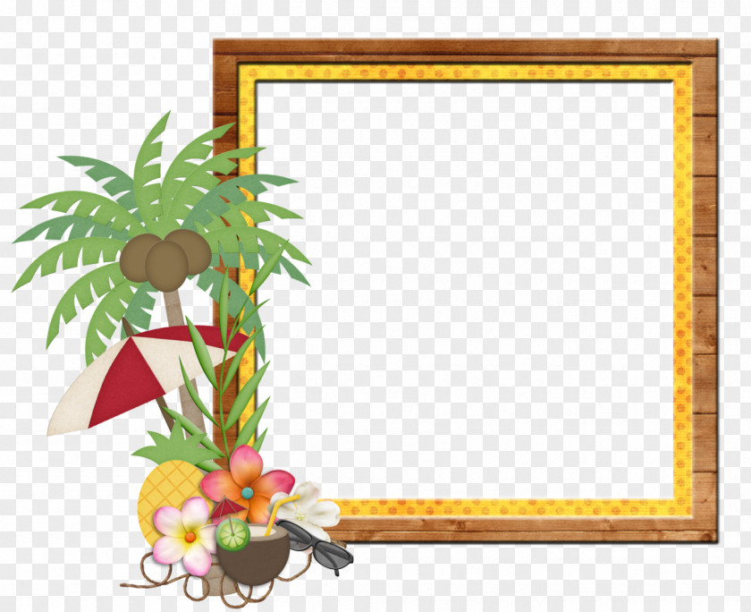 Golden Beach Picture Frames Indian Rocks Thepix PNG
