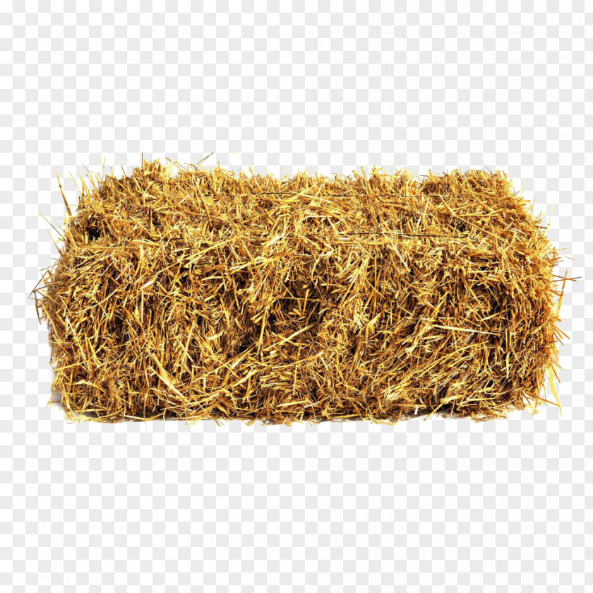 Sheep Straw Bale Hay Wheat PNG