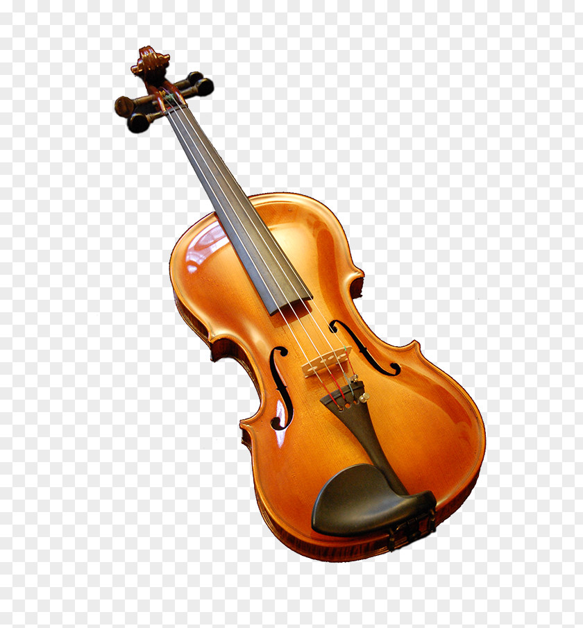 Violin Bass Violone Viola Fiddle PNG