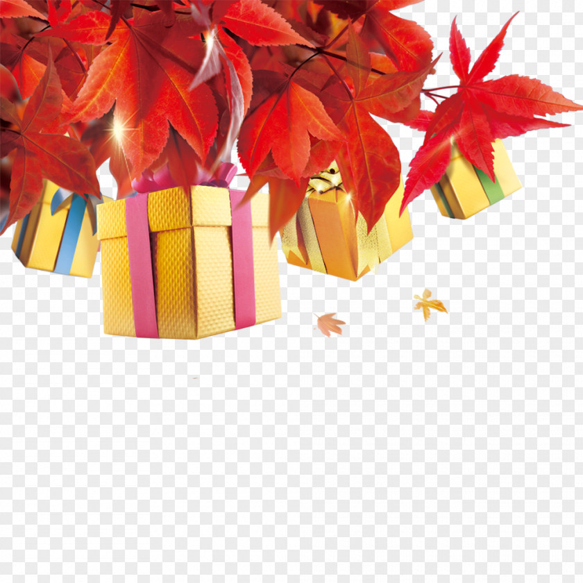 Autumn Gift PNG