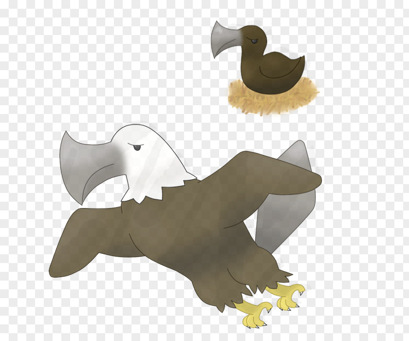 Goose Beak Cygnini Duck Bird PNG