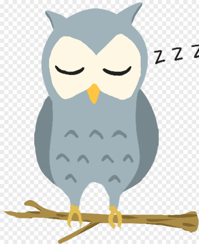 Owl Tawny T-shirt Bird Hoodie PNG