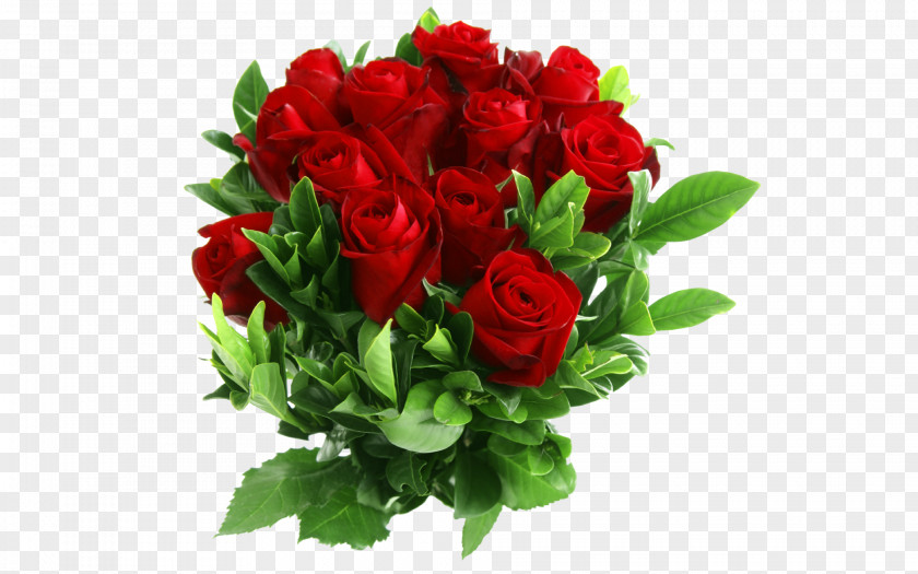 Red Chrysanthemum Rose Clip Art PNG
