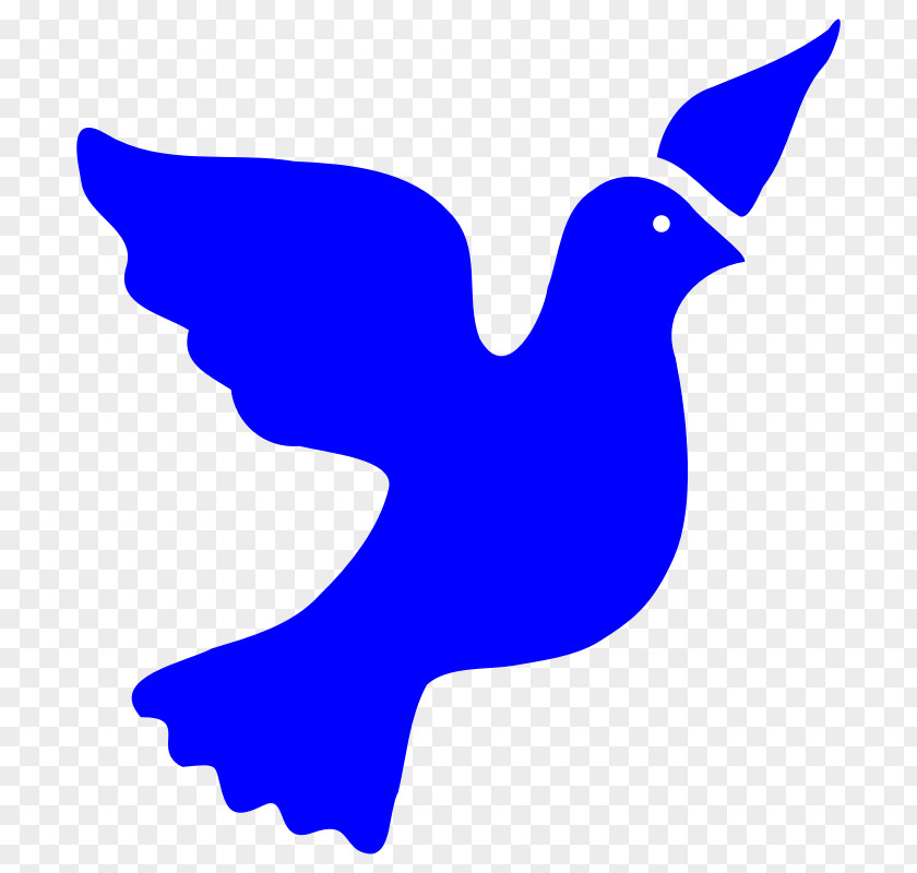 Dove Images Pictures Columbidae Peace Symbols Clip Art PNG